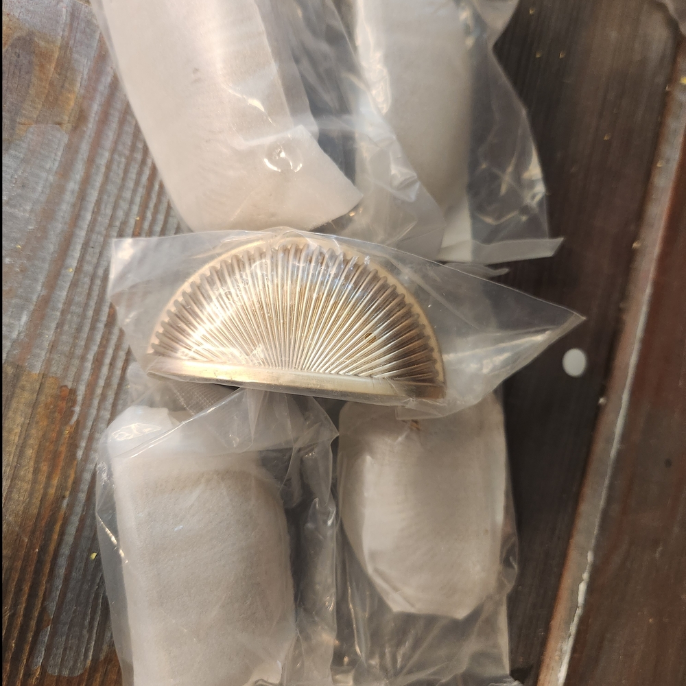 Elegant Champagne Gold Shell Accent Drawer Handles Set Of 5 - Picture 3 of 3